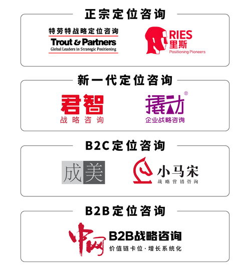 戰(zhàn)略咨詢(xún)與技術(shù)開(kāi)發(fā)雙輪驅(qū)動(dòng) 解鎖企業(yè)高效決策實(shí)戰(zhàn)路徑